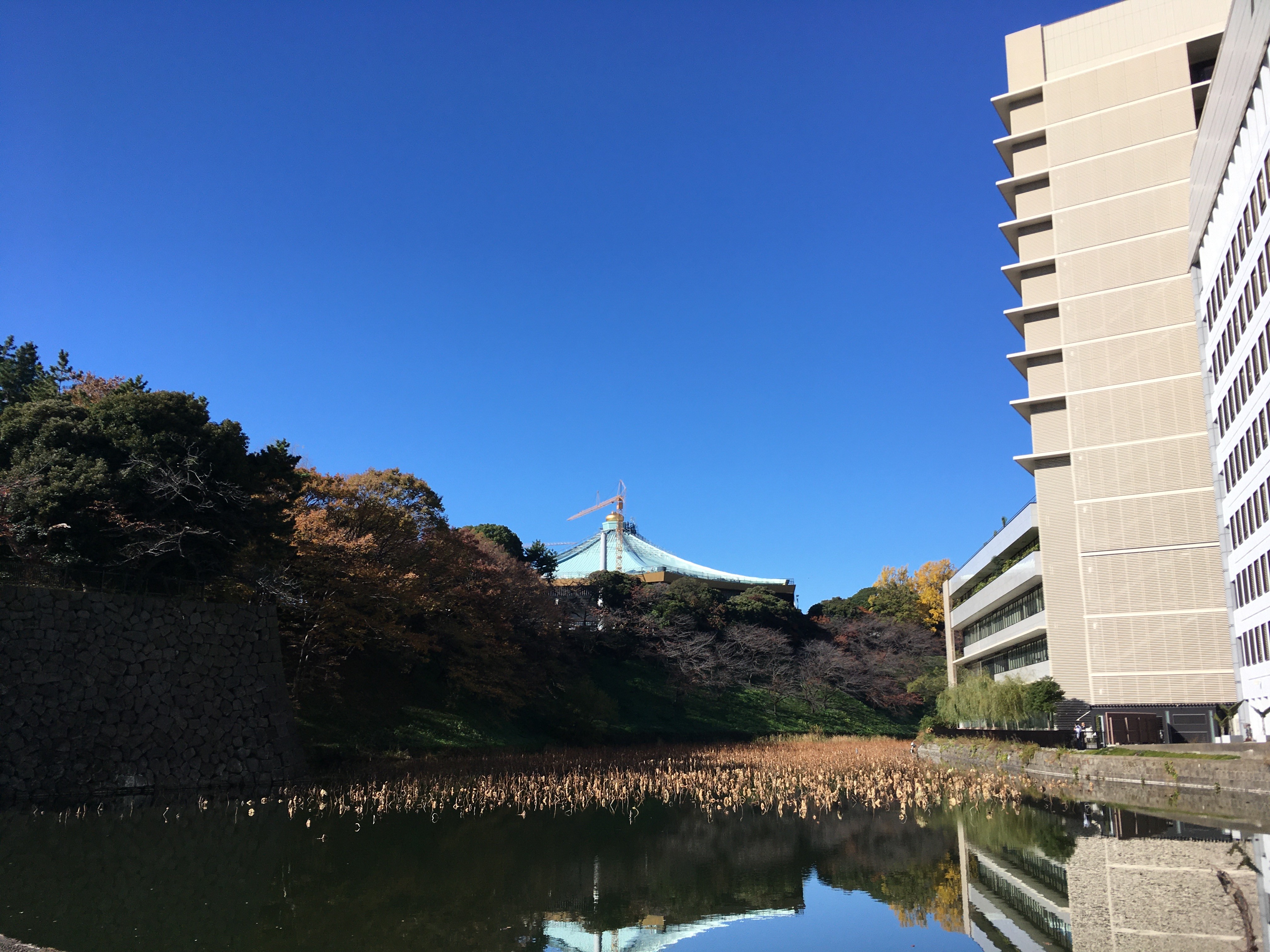 清水門（〒102-0091 東京都千代田区北の丸公園１−１）遊歩道から日本武道館を眺める